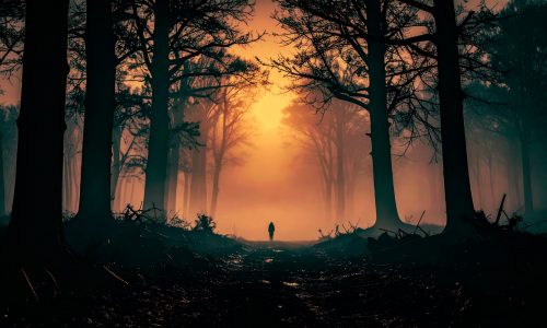 Bild erstellt mit Adobe Firefly AI